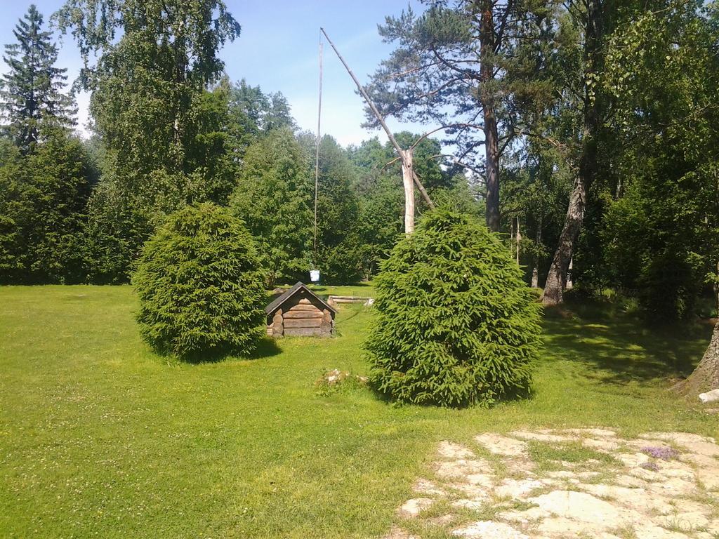 Haaviku Nature Lodge Sagadi Exterior foto